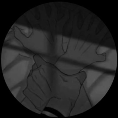 hfvb378846's profile picture. 