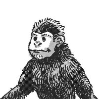 yama yasu (@yama___yasu) 's Twitter Profile