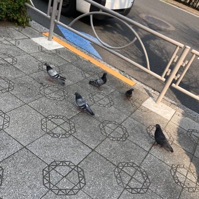 Otinntinn0810's profile picture. 俺はこにたん