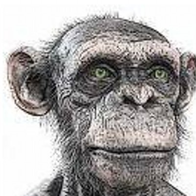 snarl12's profile image