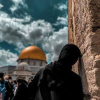 رِیحآنِ_لام (@gomnam606) 's Twitter Profile Photo