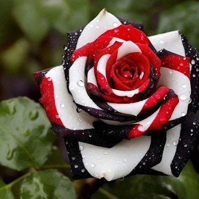 AlexMorris96287's profile picture. Glaube immer an dich selbst 💯🥰