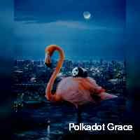 gacepolkdot98's profile picture. cancerkittens on hedera. sold out, available on secondary. $love $bull both available on saucerswap. stay tuned for news on ck2! positvity only!