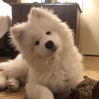 둥이💤 (@gamzadunge) 's Twitter Profile