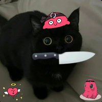 cat knife🦭/acc (@knifecat11) 's Twitter Profile
