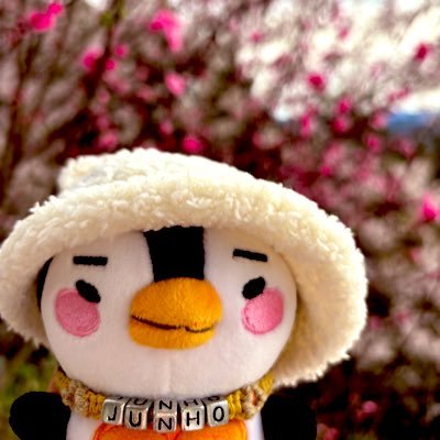 2023~Hottest/2PM/LEEJUNHO/้ใใฉ/ ใธใฅใใจ้ใใฉใๅคงๅฅฝใโก ็ก่จใใฉใญใผๅคฑ็คผใใพใ๐ป๐