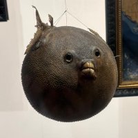 Niki (@nikikkiriki) 's Twitter Profile