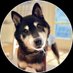 cocoro (@cocorobnb) Twitter profile photo cocoro (@cocorobnb) Twitter profile photo