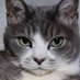 ã¿ã£ã¡ãã (@lsc2eut2jemcn7d) Twitter profile photo ã¿ã£ã¡ãã (@lsc2eut2jemcn7d) Twitter profile photo