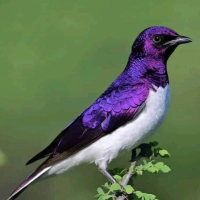 HarveyG33990715's profile picture. Sunshine will shine on anything you do