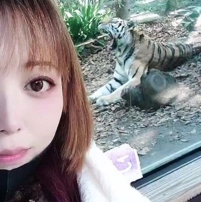 ❤️動物たちのためだけの垢です❤️
#動物園🦥大好き
#博物館🪐好き
#水族館🐳好き
#恐竜🦖大好き
#ふくろう🦉好き
#到津の森公園🦁によく出没
#ランサリー推し🐘
フォロー大歓迎
#無言フォローもどんとこい
しかしフォロバは気ままw
▼こちらも無言フォローします、ごめんなさい▼