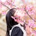 蘭さくら (@sakura39_cheri) Twitter profile photo 蘭さくら (@sakura39_cheri) Twitter profile photo