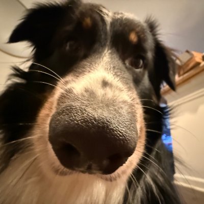 Cloud Engineer | 2277/2277 & 2045/2277 | VAL & OSRS Content |