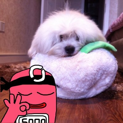 muyuhill's profile picture. 重新出发，努力学习web3 @xyberinc