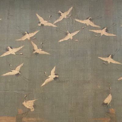 helidox8's profile picture. 