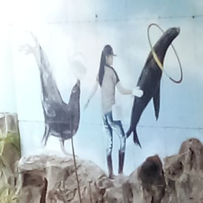 WaYu77456970913's profile picture. 