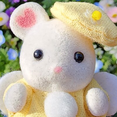 迅斗 宙さんのプロフィール画像