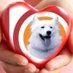 BellaMoss Foundation (@bmf_tweets) Twitter profile photo BellaMoss Foundation (@bmf_tweets) Twitter profile photo