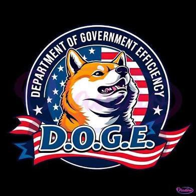 #DOGE The “news” and what the Department of Government Efficiency SHOULD be doing! STOP 🛑 pussy-footing!