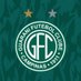 Guarani Futebol Clube (@guaranifc) Twitter profile photo Guarani Futebol Clube (@guaranifc) Twitter profile photo