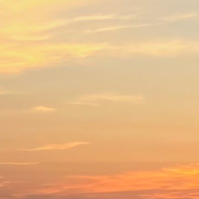 krishaaguilar11's profile picture. 