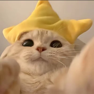 𝘾𝙄𝙀𝙇⋆*⭐️•˚ *さんのプロフィール画像