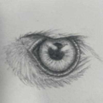 dladsandi's profile picture. I'm a middle school teacher in California. We need stricter gun laws; Vote blue always; Anti-Fascist #fbr