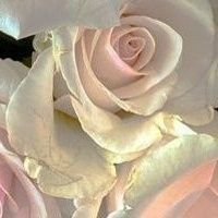 powerover18's profile picture. 