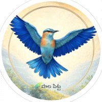 Paala Pitta 🐦 (@paala_pitta) 's Twitter Profile Photo Paala Pitta 🐦 (@paala_pitta) 's Twitter Profile Photo