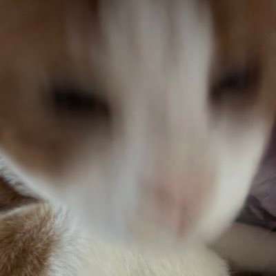 ゆり‼️さんのプロフィール画像