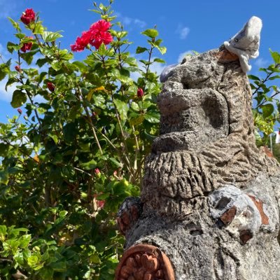 ankh0707's profile picture. KG 𝙉𝙚𝙭𝙩 ︎ ⇝ BU