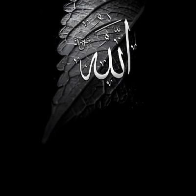 Erich0990's profile picture. H7TW3DMU