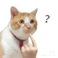 起司蛋餅 (@girojo_) 's Twitter Profile