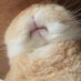 งง (@yourb4bynorbor) Twitter profile photo งง (@yourb4bynorbor) Twitter profile photo