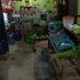 Rudy Susanto Susanto (@rudysusant18535) Twitter profile photo Rudy Susanto Susanto (@rudysusant18535) Twitter profile photo