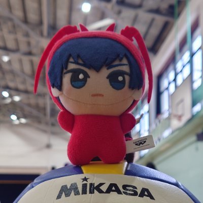 そらのの取引垢 30↑
🟦⛓️🌱最推し(セット推しのため🦉🍵🌹🐏も集める場合があります)基本都内手渡し+各1のみ集めます ※お取引が終わった募集は消すためメディア欄にあるものは継続募集中 本垢はレイヤー ※手渡し可能日時は固定ツイ参照(他相談可)