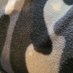 fatfatfat1 (@fatfatfat110) Twitter profile photo fatfatfat1 (@fatfatfat110) Twitter profile photo