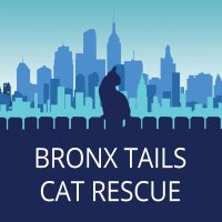 BRONX TAILS CAT RESCUE (@bronx_119648) 's Twitter Profile Photo BRONX TAILS CAT RESCUE (@bronx_119648) 's Twitter Profile Photo