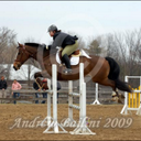 Danielle Nadeau - @dani_nadeau - Twitter