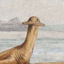 mongoanders_'s profile picture. nå er det jeg som prater