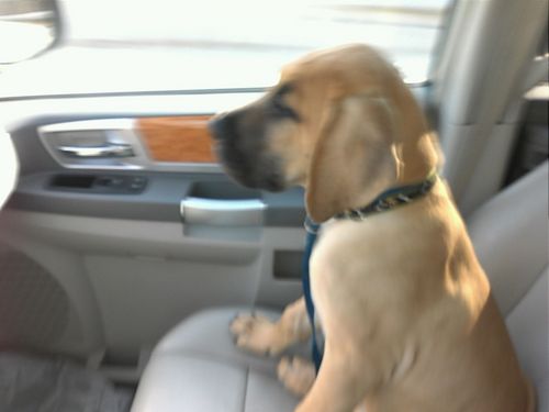 exploringspace's profile picture. Proud Hoosier Veteran (Navy & USAFR), Husband, Father, Ancestry Addict and a Nurse (RN-BSN). RV for fun!