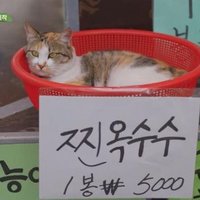 엣디 (@goes_on11) 's Twitter Profile