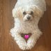 Mary Nagel (@nagel_maryj) Twitter profile photo Mary Nagel (@nagel_maryj) Twitter profile photo