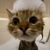 227% (@232percent_) Twitter profile photo 227% (@232percent_) Twitter profile photo
