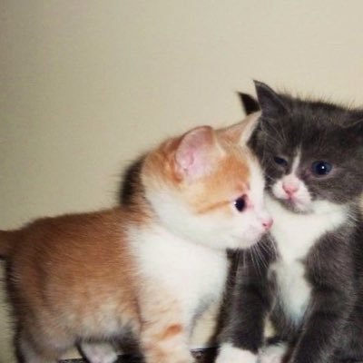 hurtfulf0rme's profile picture. ₊˚⊹♡