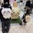 yuinyannyan1221