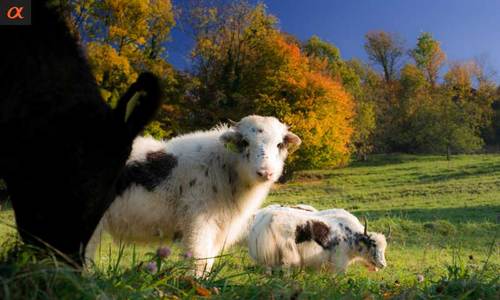 0ys38x4w2gt004k's profile picture. 1993年8月31日生まれの18歳 。おとめ座のO型です。ピアノ・シンセ・バスケ・野球・DJ・ギター・ボーリングなどなどが趣味です。よろしくお願いしますm(__)m