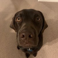 Big marty (@martyonfire) 's Twitter Profile