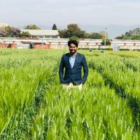 Khawar Majeed (@khawarmajeed13) 's Twitter Profile