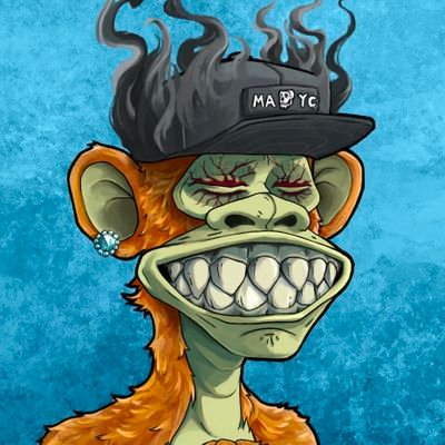 Jay Day Profile